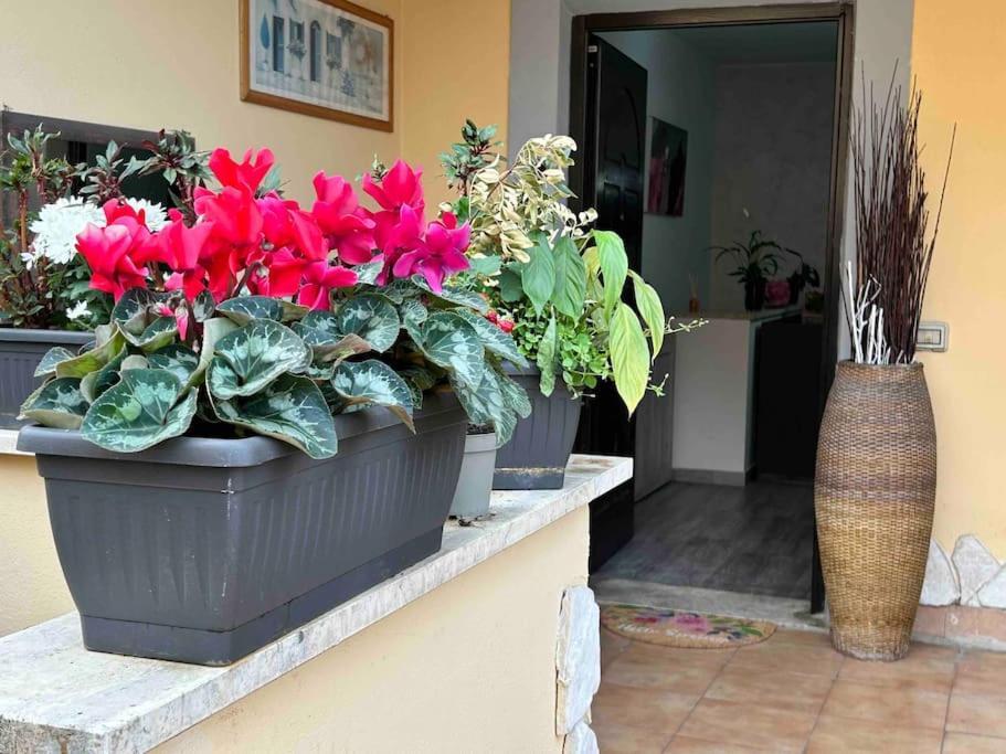 Domus Acquedotto Apartment Rome Exterior photo